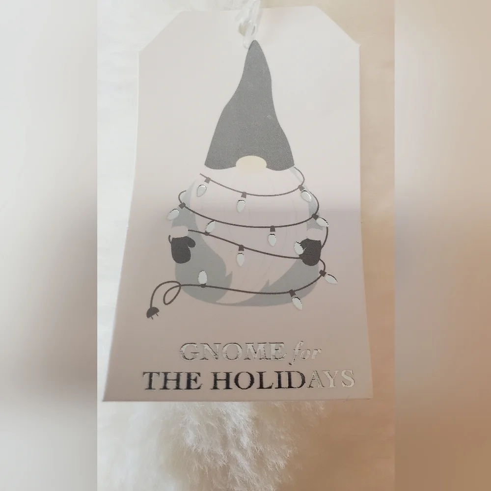 Gnome For The Holidays